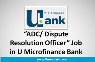 ADC/ Dispute Resolution Officer Job in U Microfinance Bank