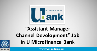 Assistant Manager Channel Development Job in U Microfinance Bank