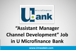 Assistant Manager Channel Development Job in U Microfinance Bank
