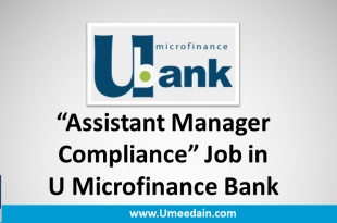 Assistant Manager Compliance and Employee Relationship job in U microfinance Bank