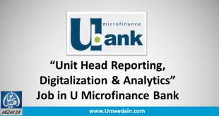 Unit Head Reporting, Digitalization & Analytics Job in U Microfinance Bank
