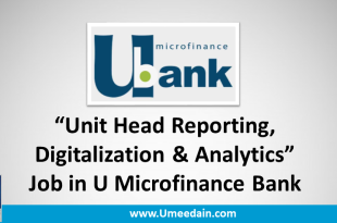 Unit Head Reporting, Digitalization & Analytics Job in U Microfinance Bank