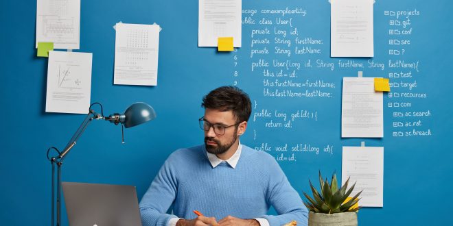 Content Writer