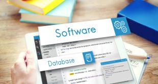 database management