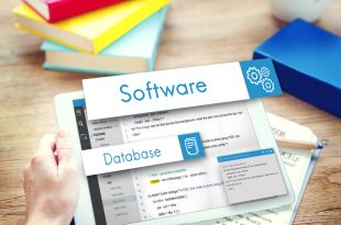 database management