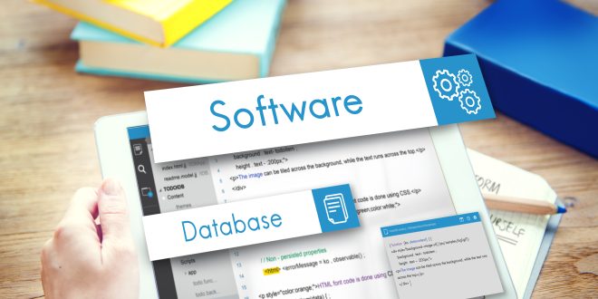 database management