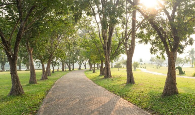 Gulshan-e-Iqbal Park