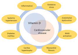 vitamin D